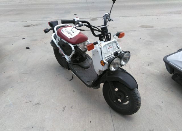 Honda NPS50 (Ruckus)