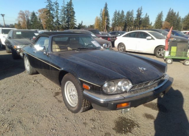 Jaguar XJS