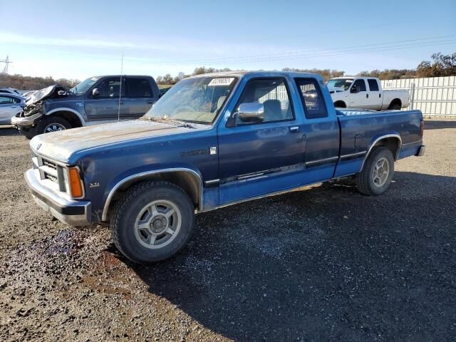 DODGE