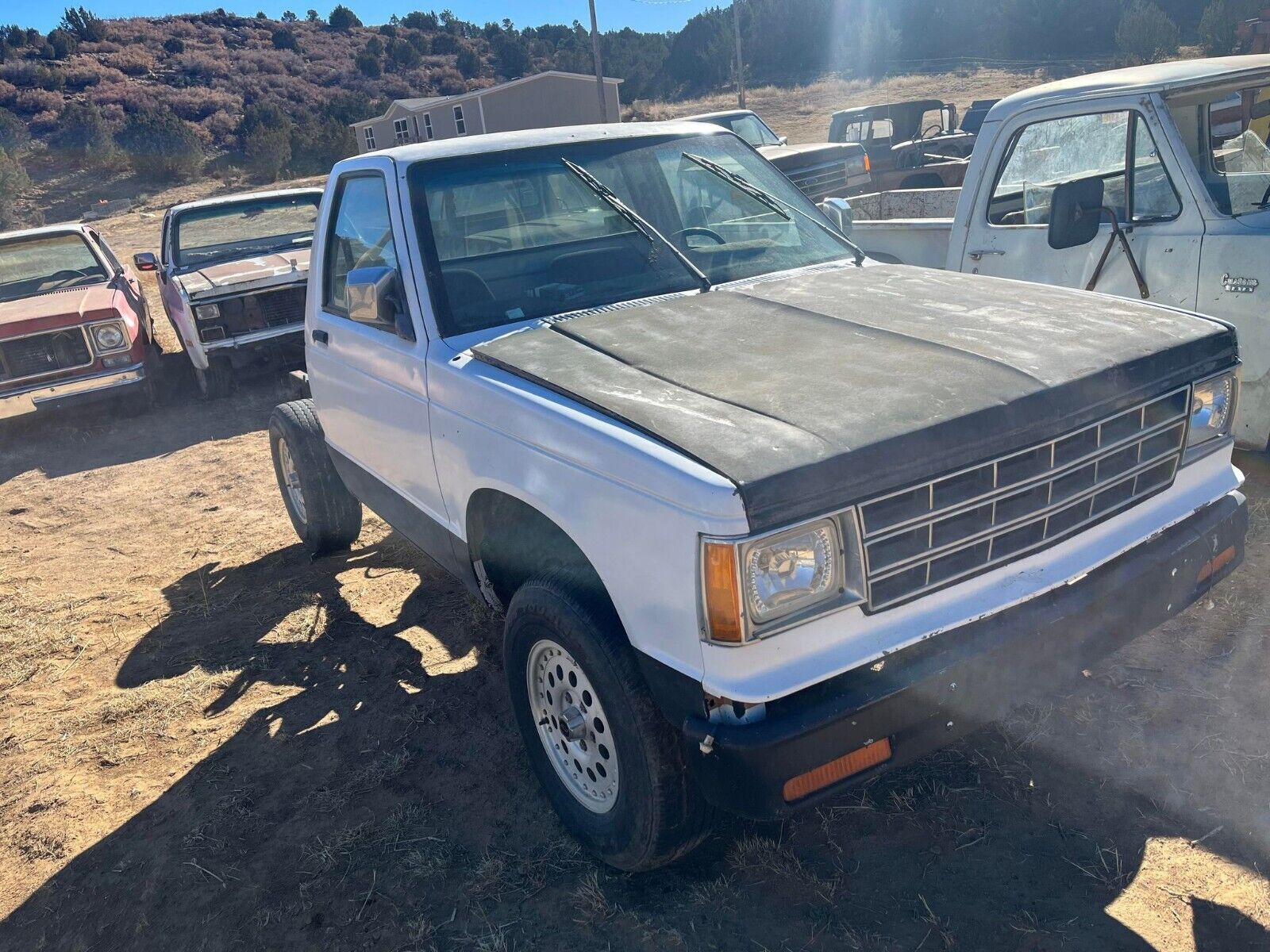 Chevrolet S-10 Pickup