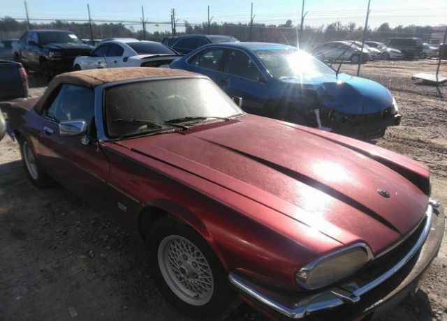 Jaguar XJS