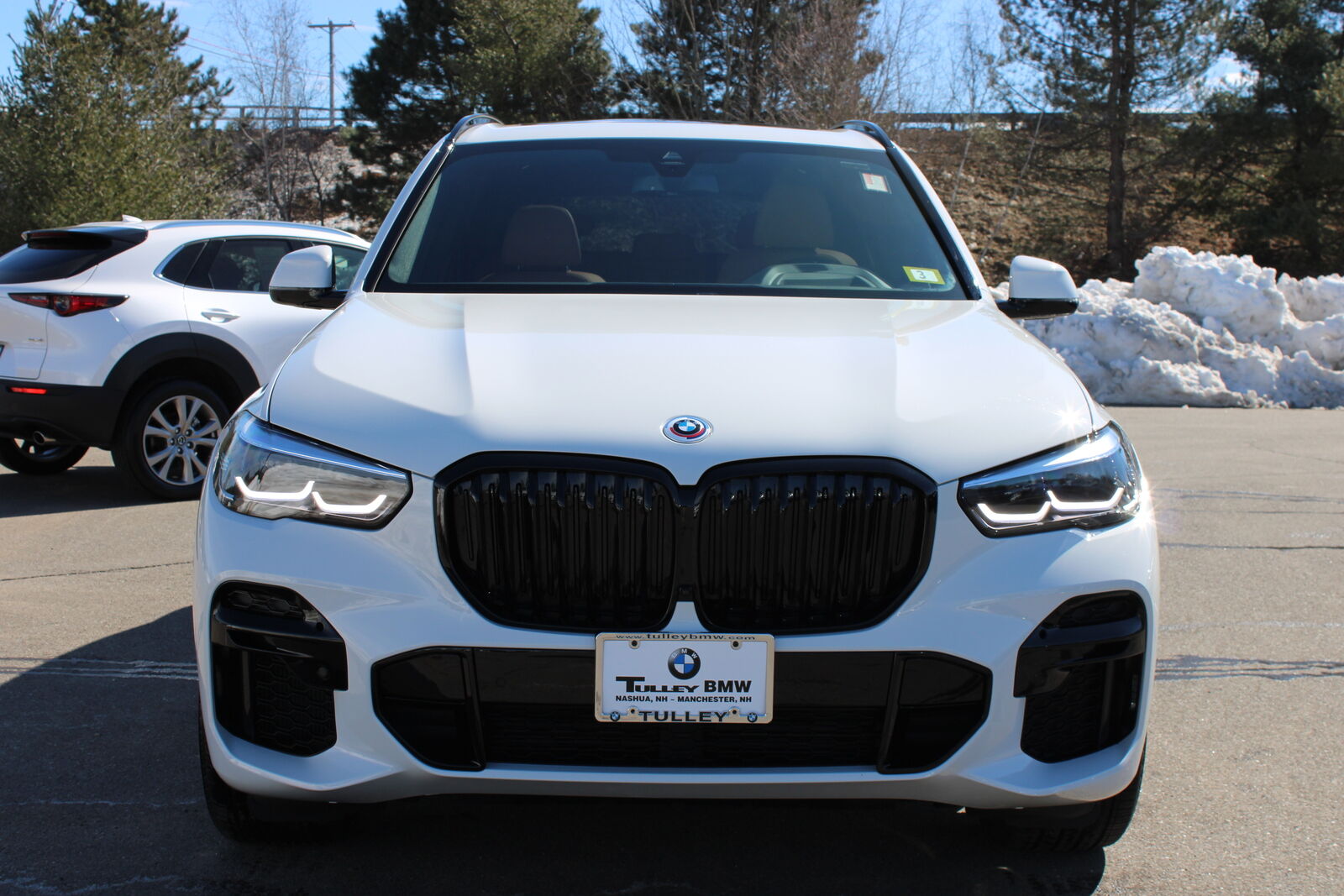 2023 BMW X5