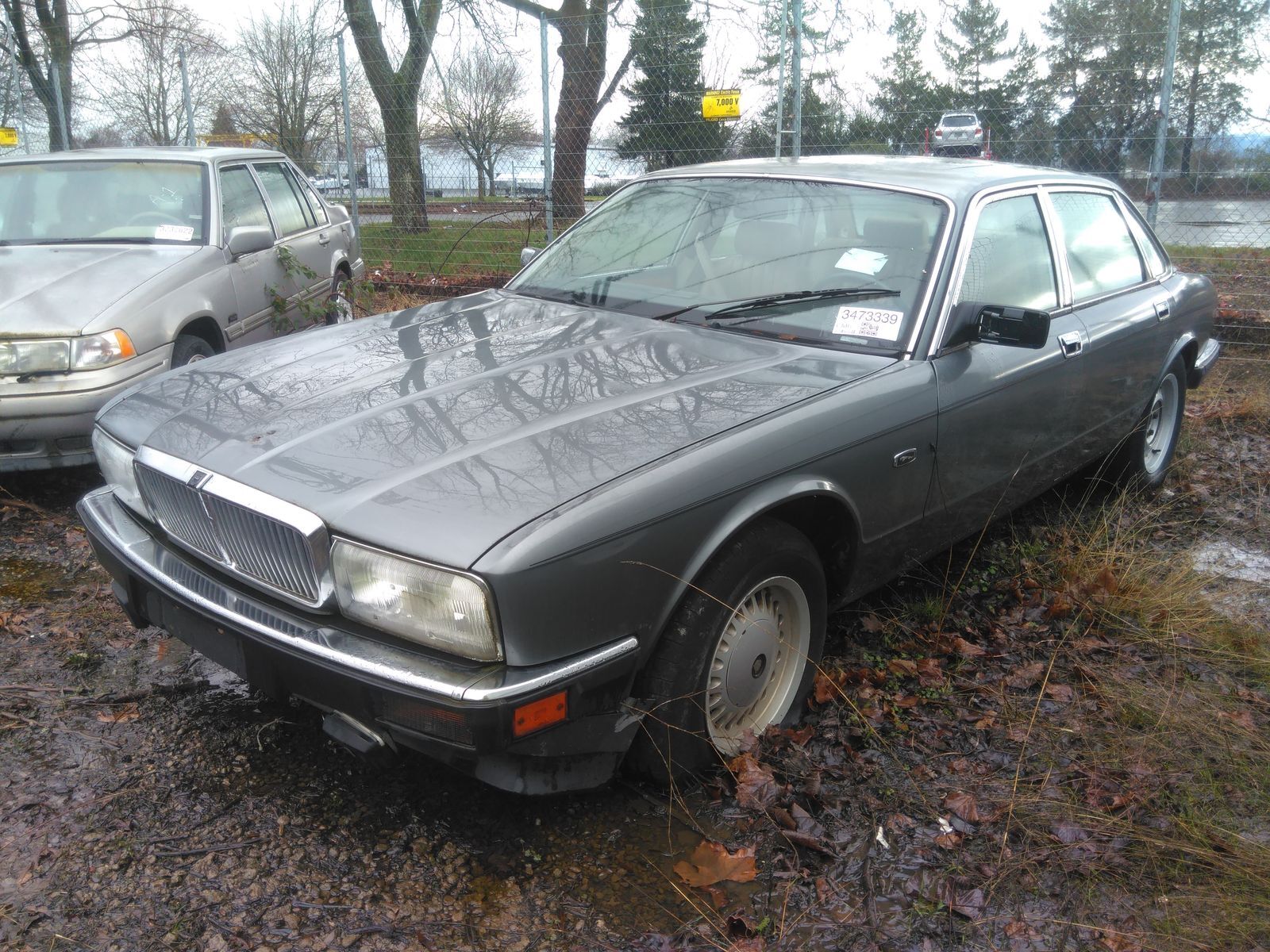 JAGUAR