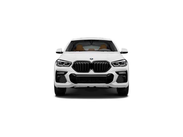 2023 BMW X6