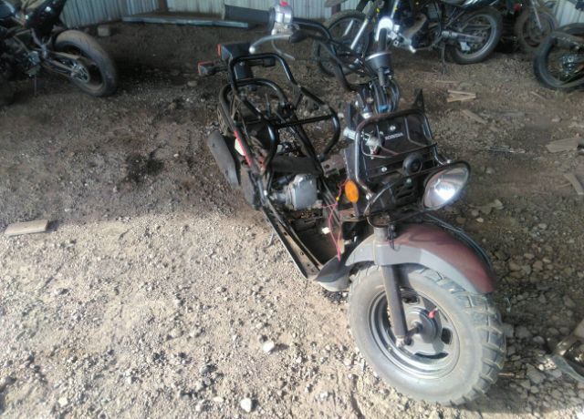 Honda NPS50 (Ruckus)