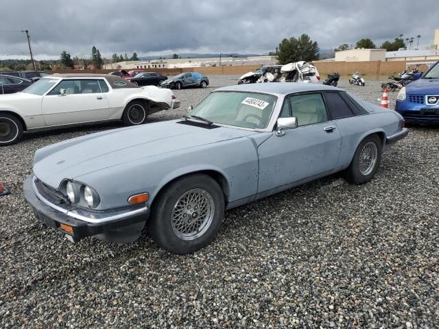 JAGUAR