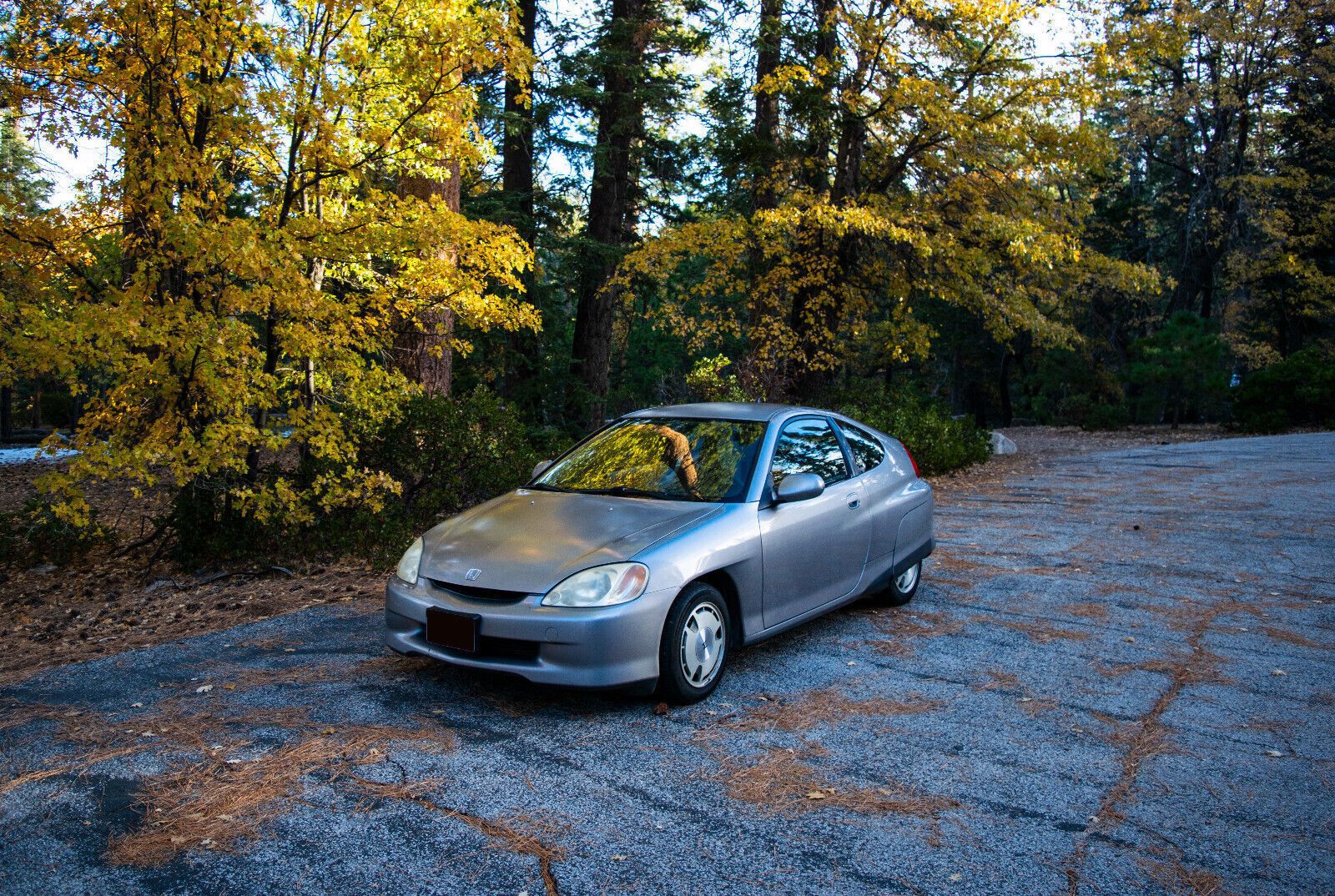 Honda Insight