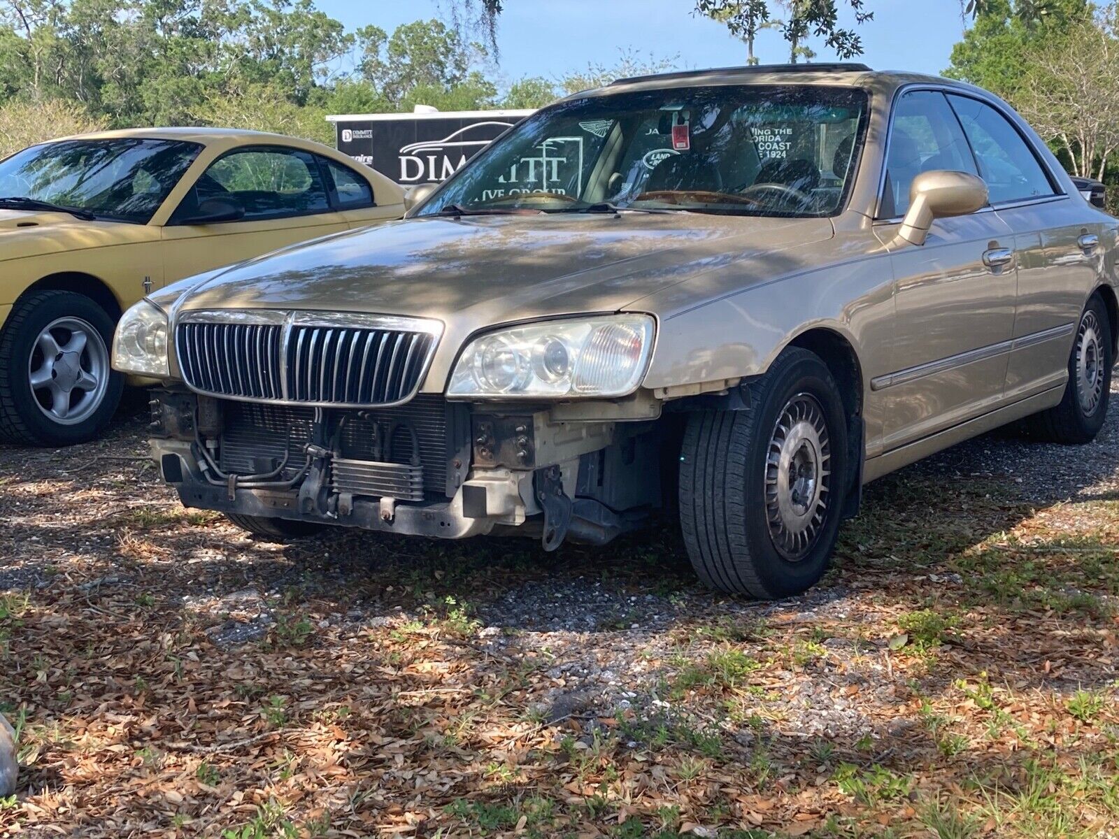 Hyundai XG300
