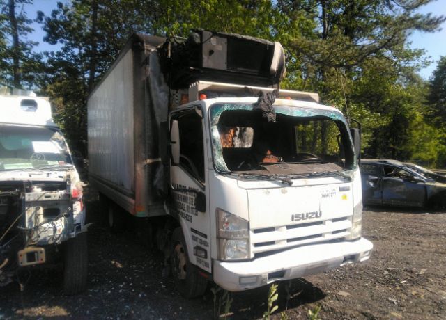 Isuzu NQR/NRR