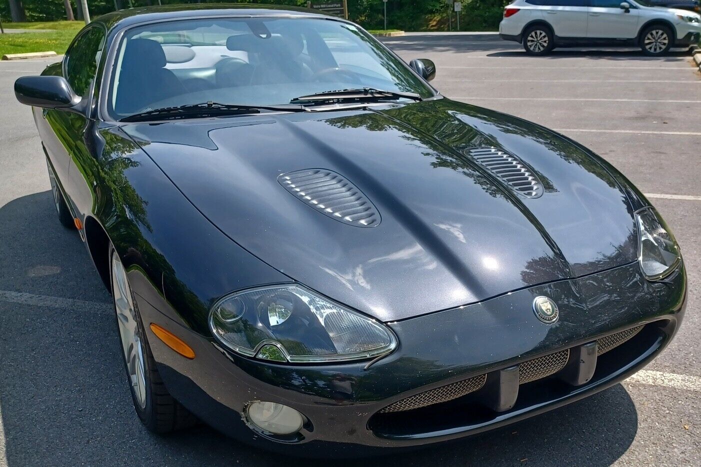 Jaguar XK