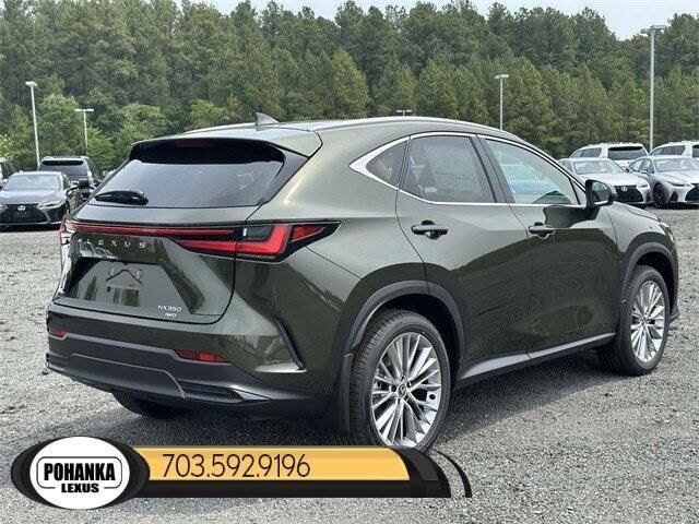 2024 Lexus NX