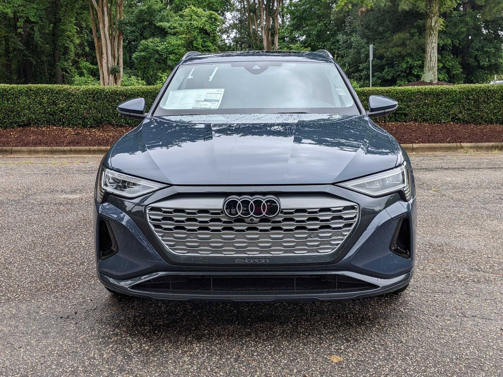 2024 Audi Q8