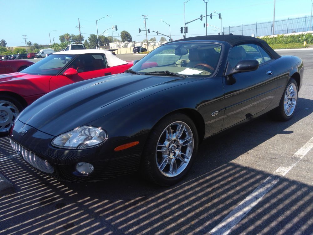 JAGUAR