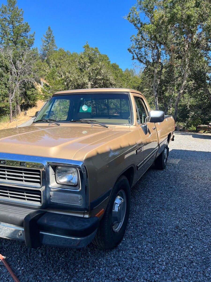 Dodge D-Series