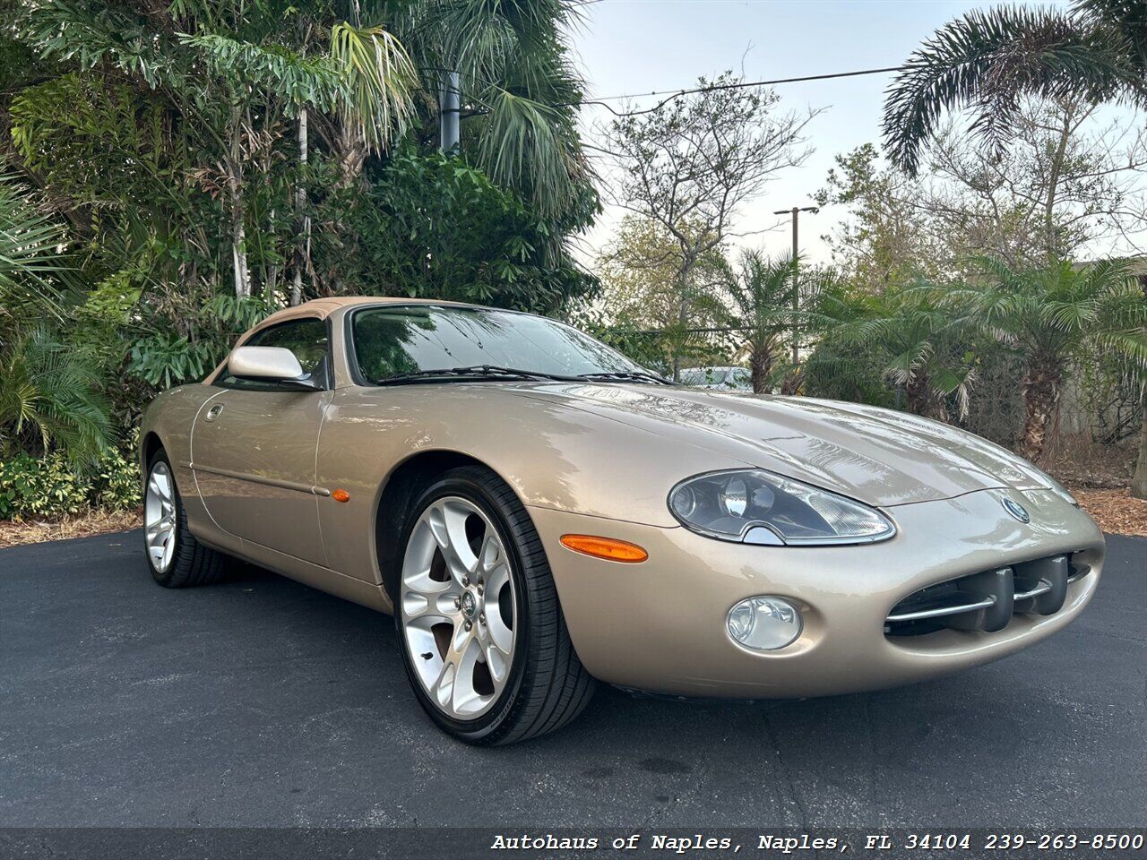 Jaguar XK