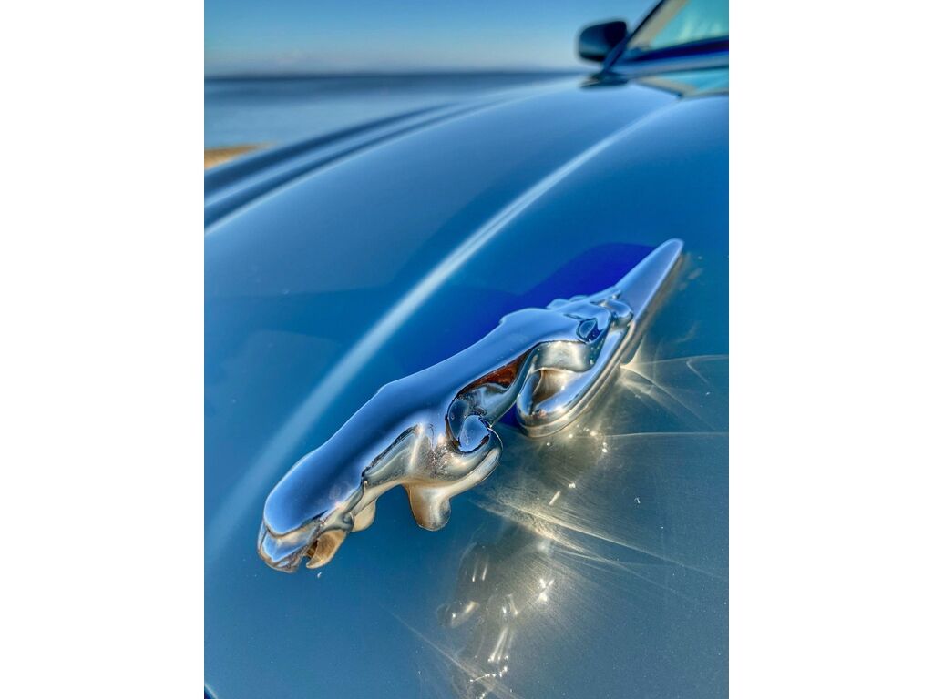 Jaguar XJ6