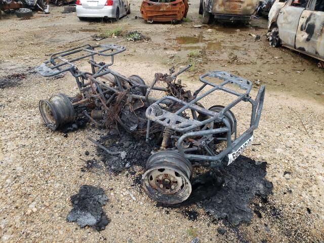 Honda TRX500 (FourTrax Foreman Rubicon)