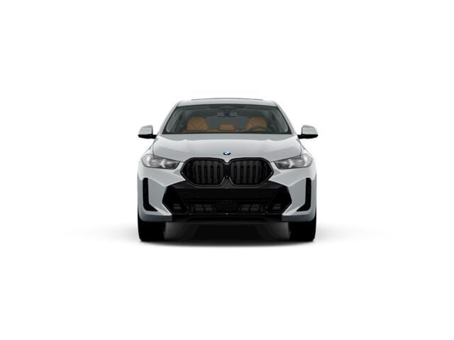 2024 BMW X6