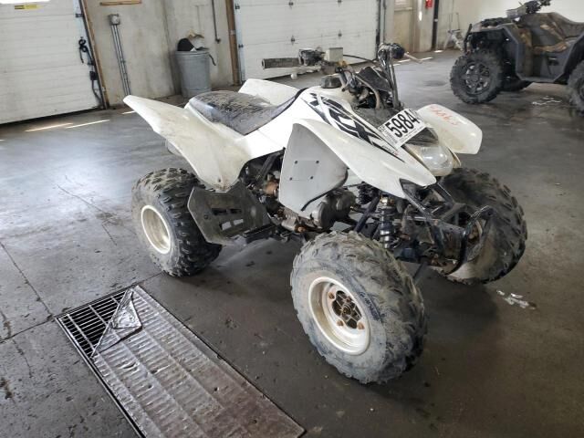 Honda TRX250X