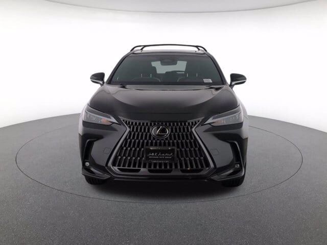 2024 Lexus NX