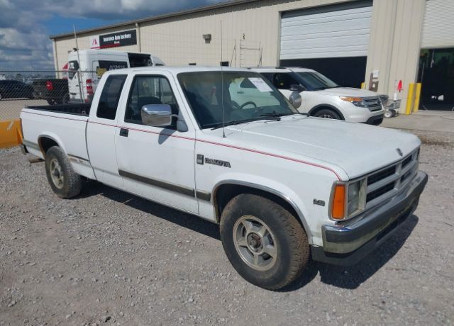 Dodge Dakota