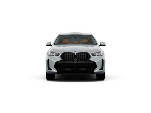 2024 BMW X6
