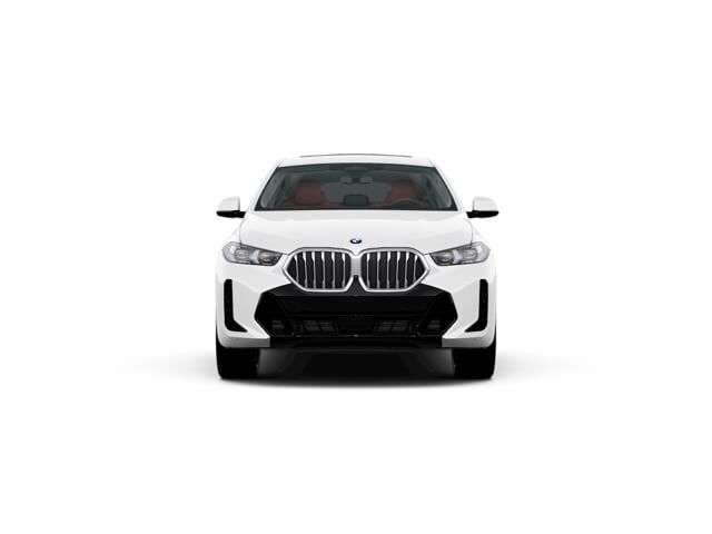 2024 BMW X6