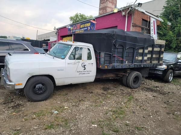 Dodge D-Series