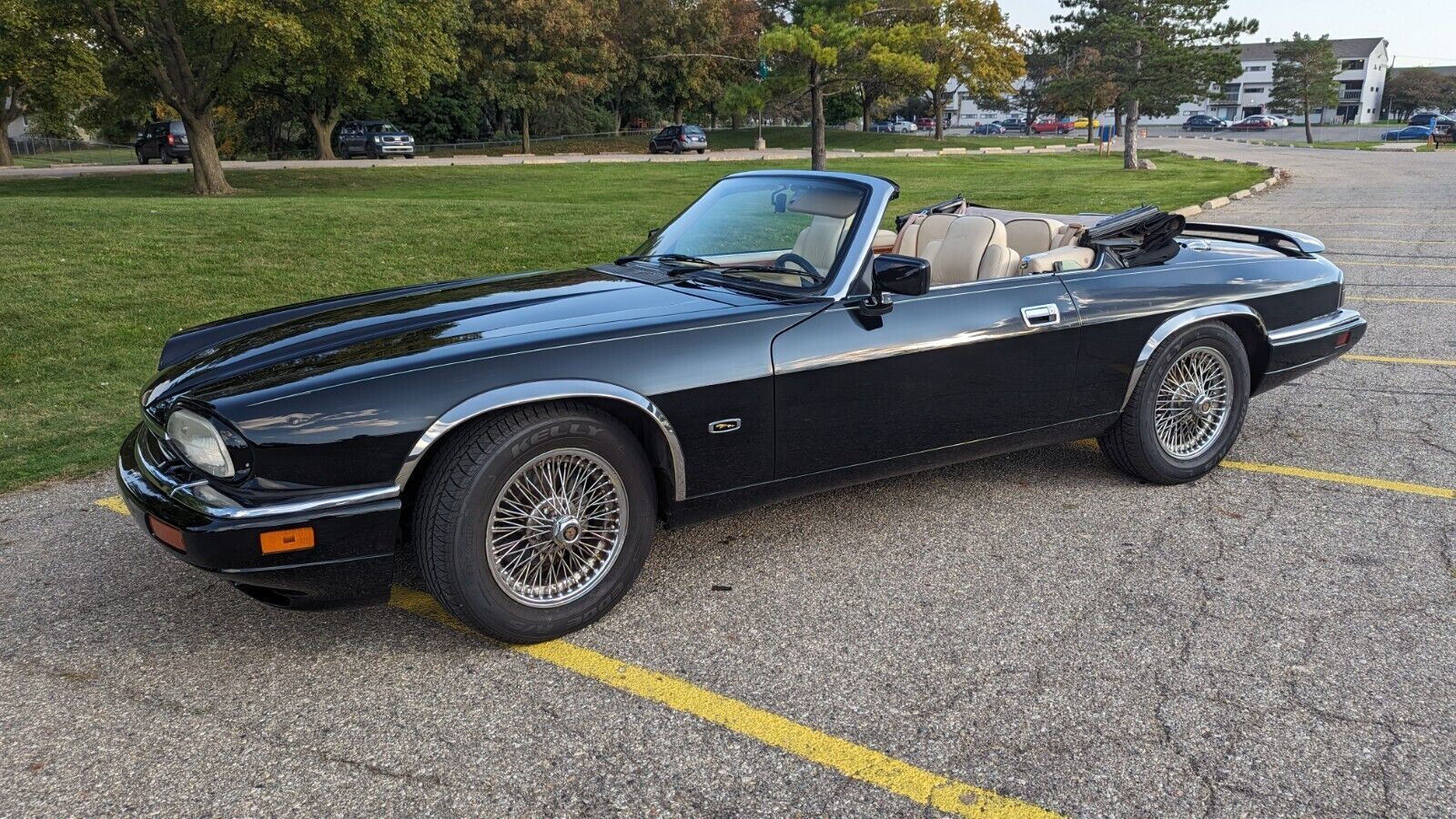 JAGUAR