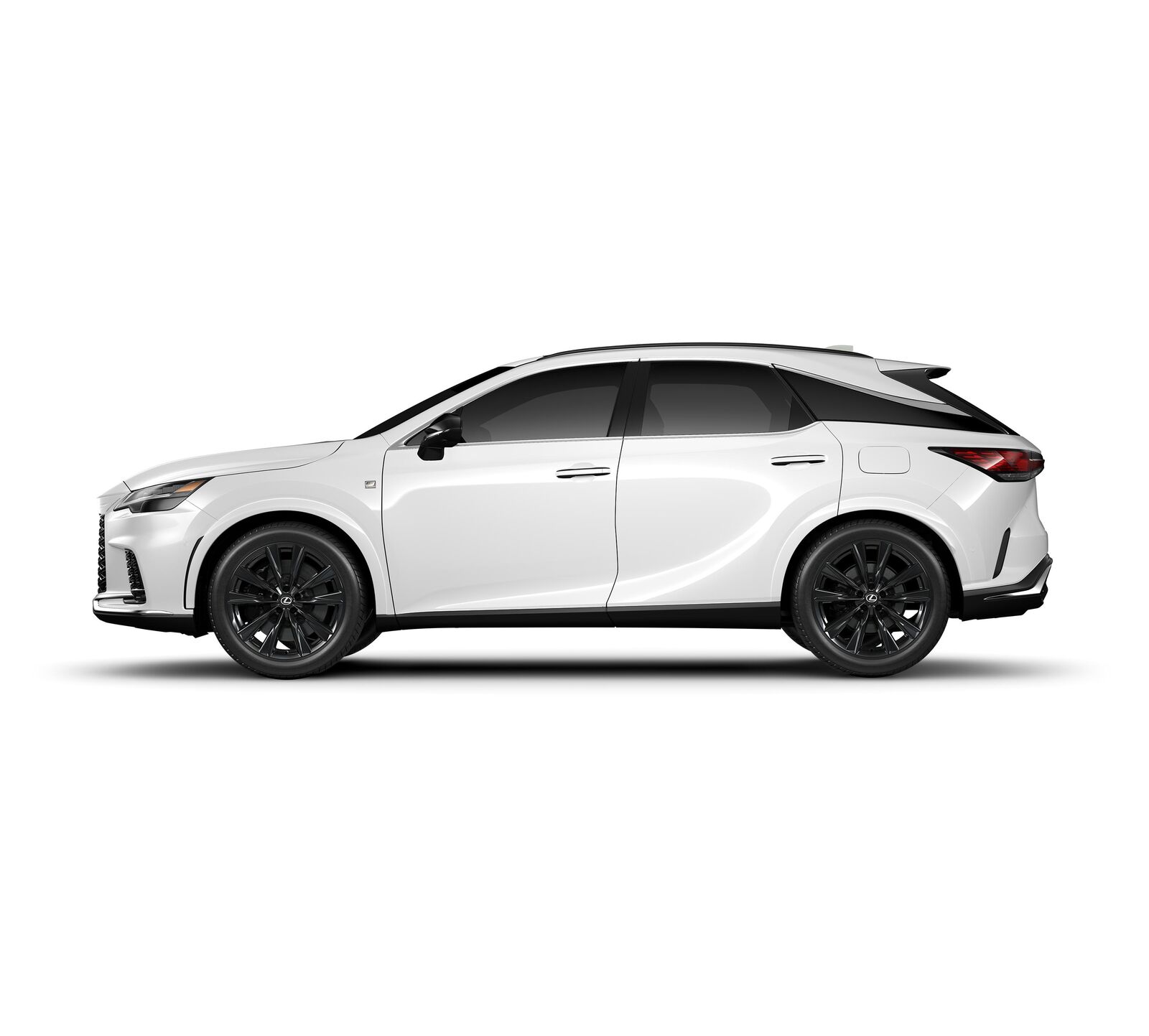 2024 Lexus RX