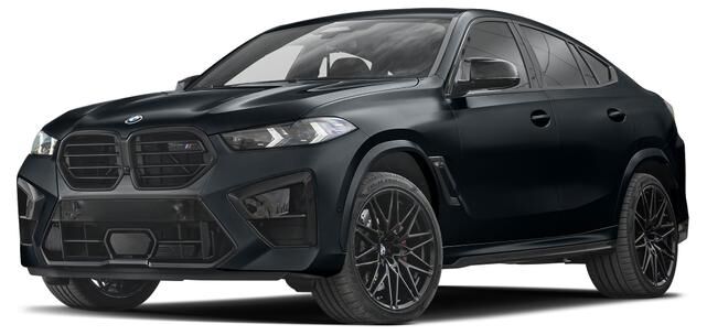 2024 BMW X6