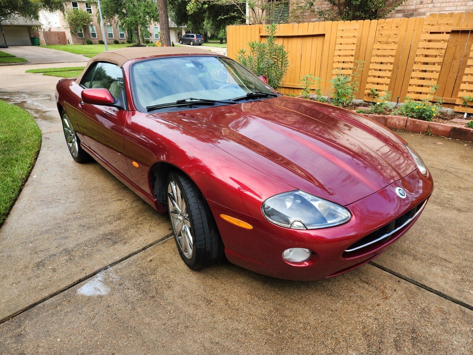 Jaguar XK