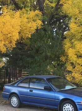 Acura Integra