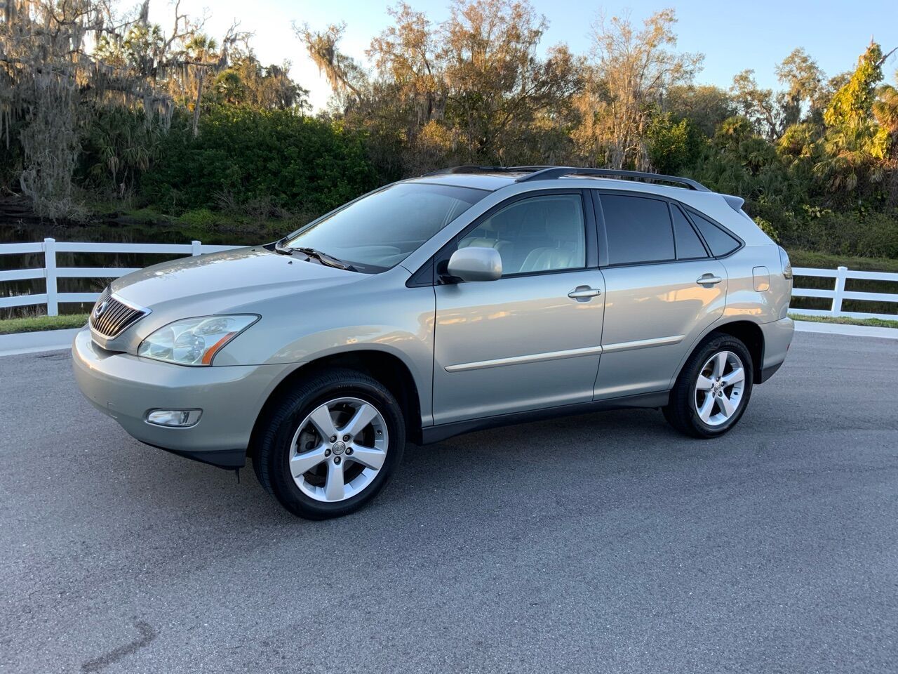 2004 LEXUS RX