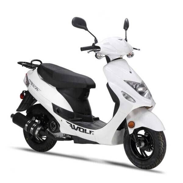 2023 ZNEN ZN50QT/ ZN150T