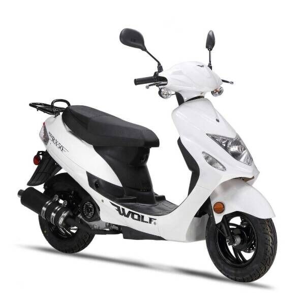 2023 ZNEN ZN50QT/ ZN150T