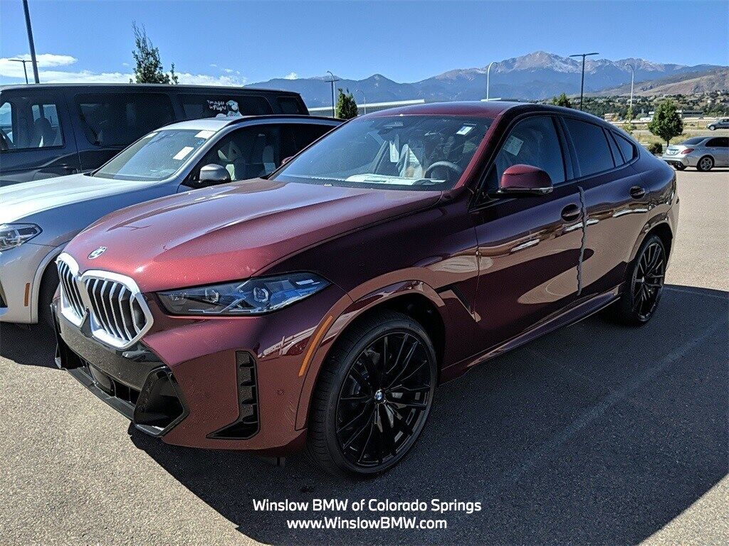 2024 BMW X6