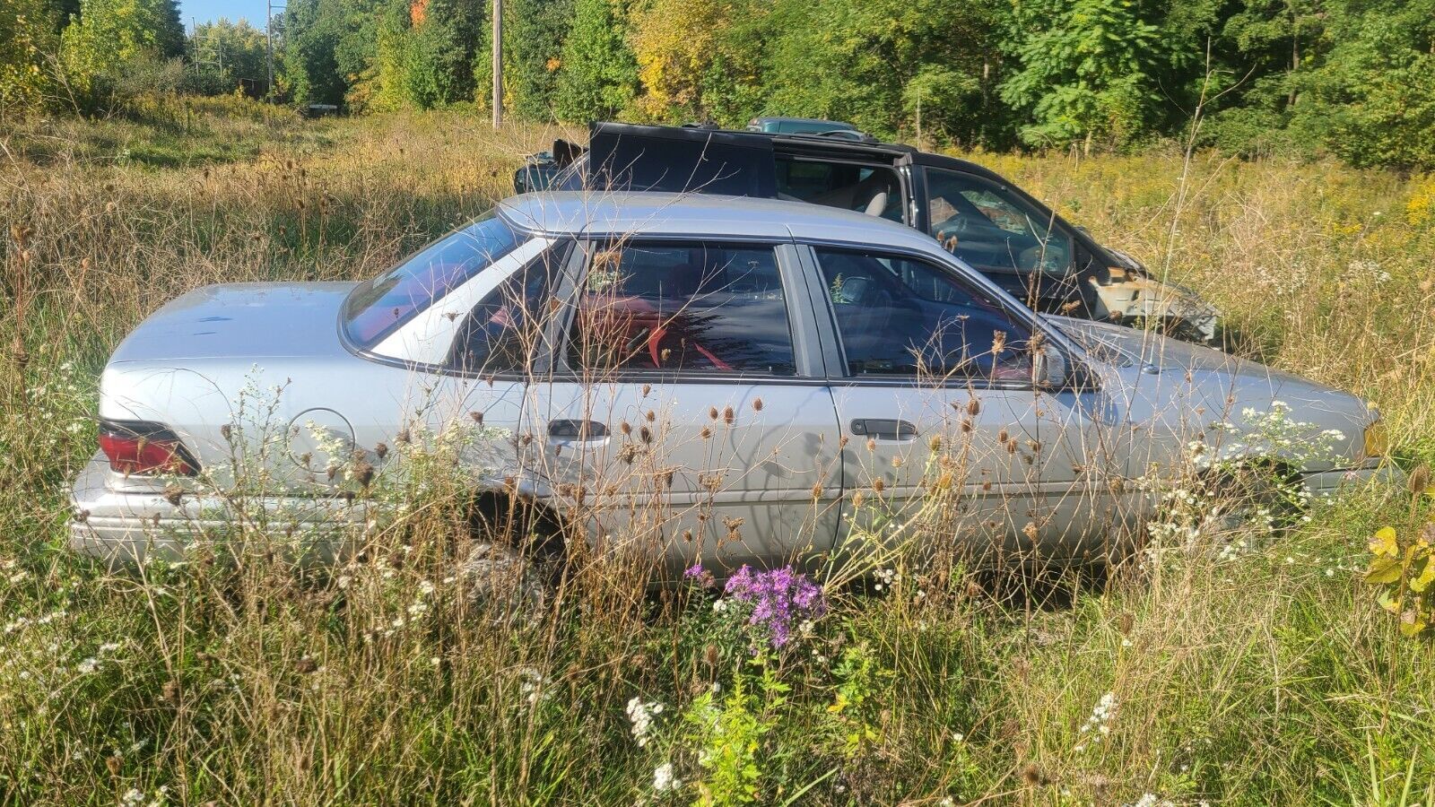 Ford Tempo