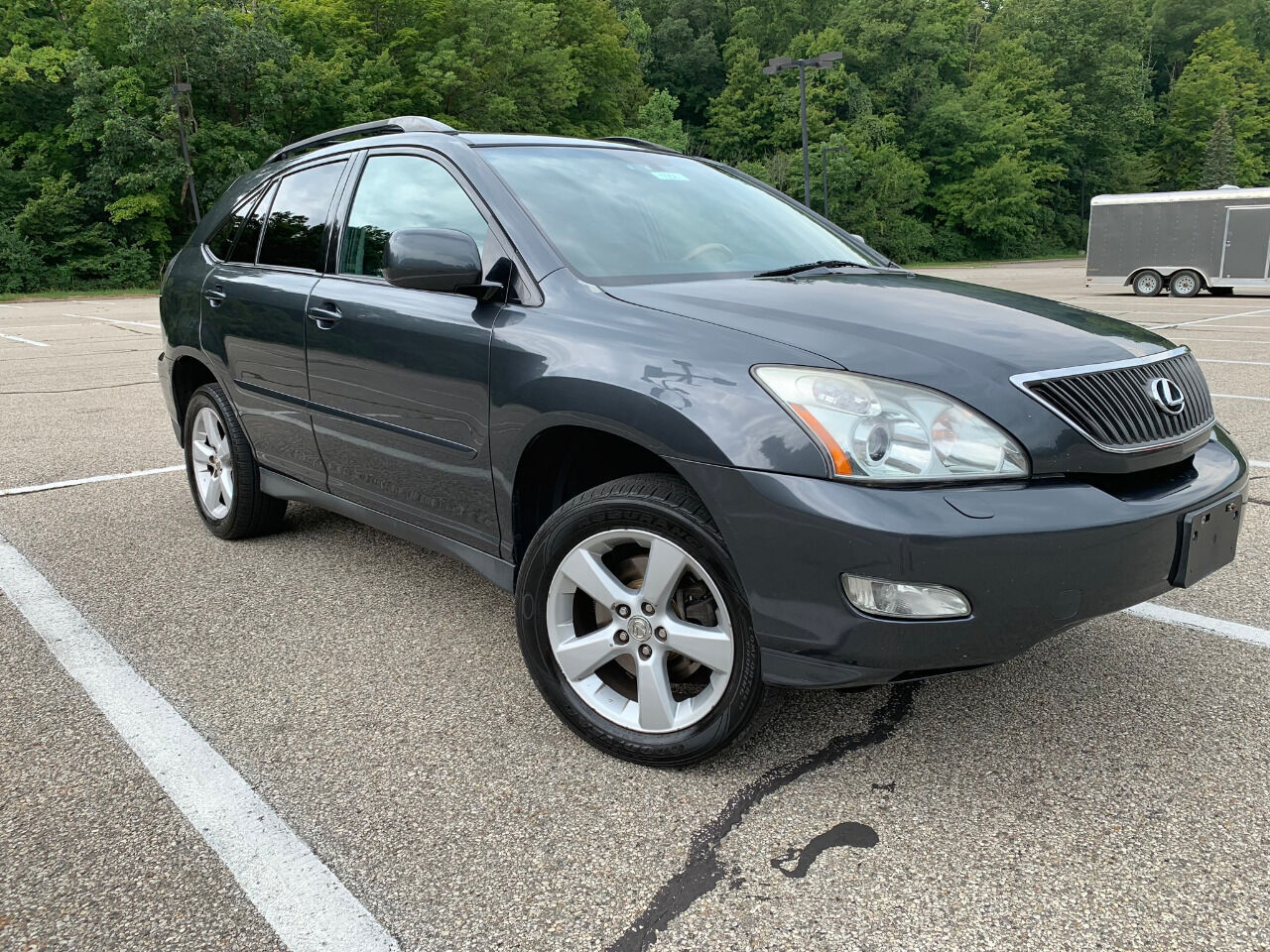 2006 LEXUS RX