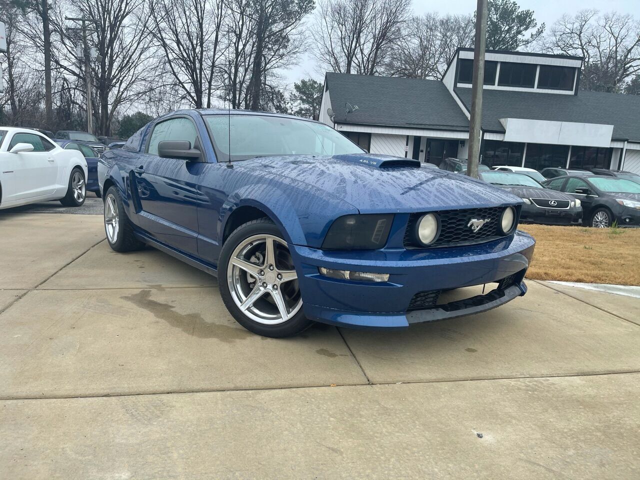 2009 FORD Mustang