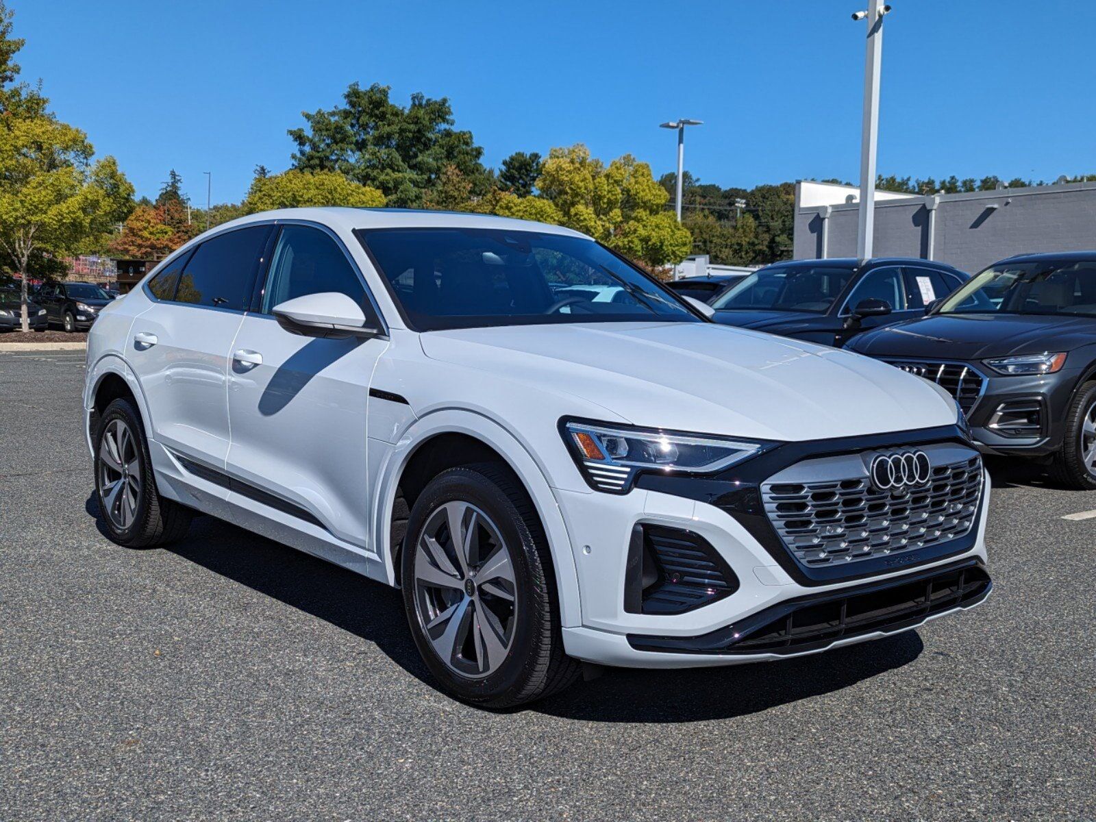 2024 Audi Q8