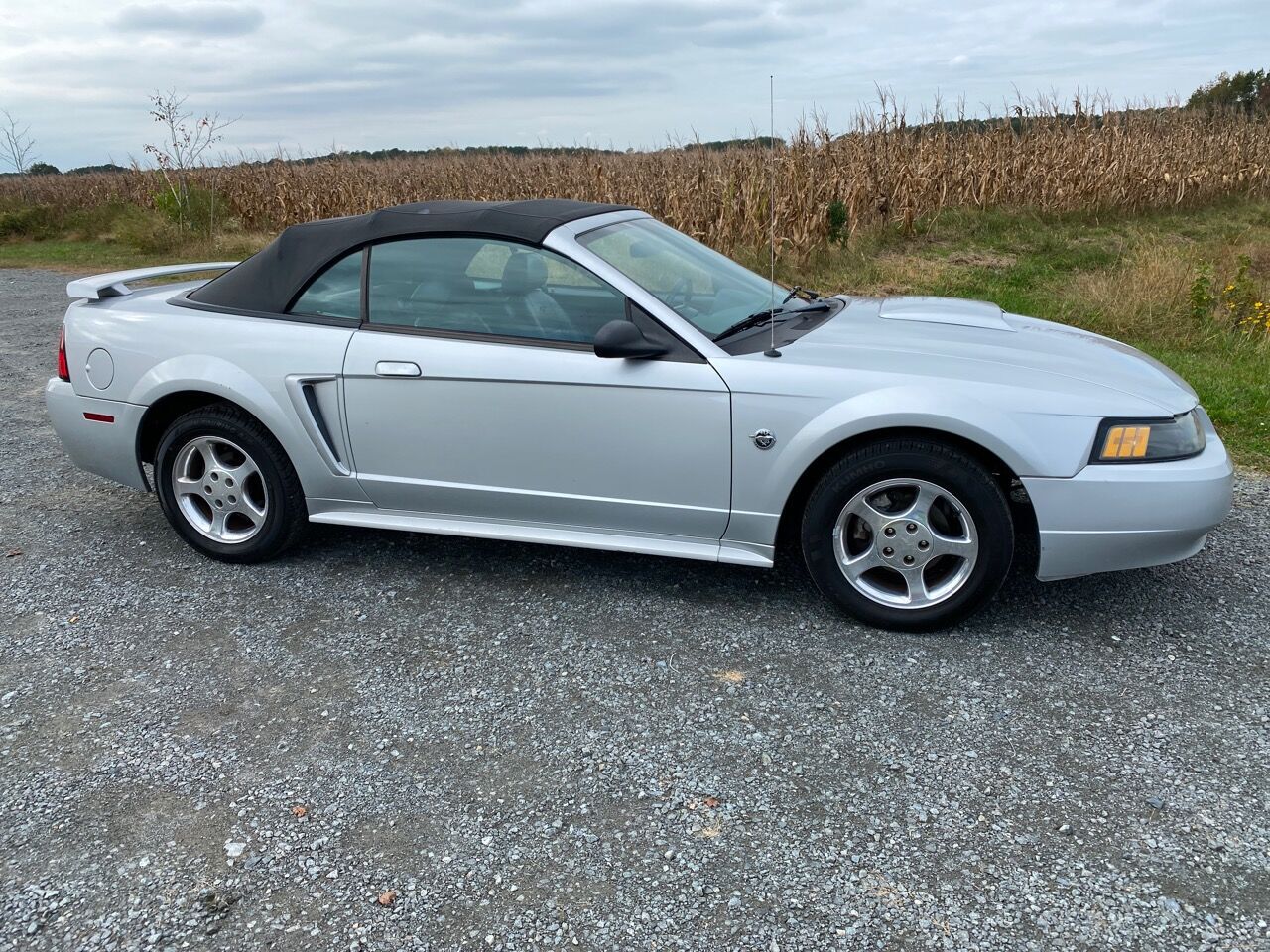 2004 FORD Mustang
