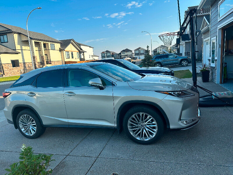 2020 Lexus RX