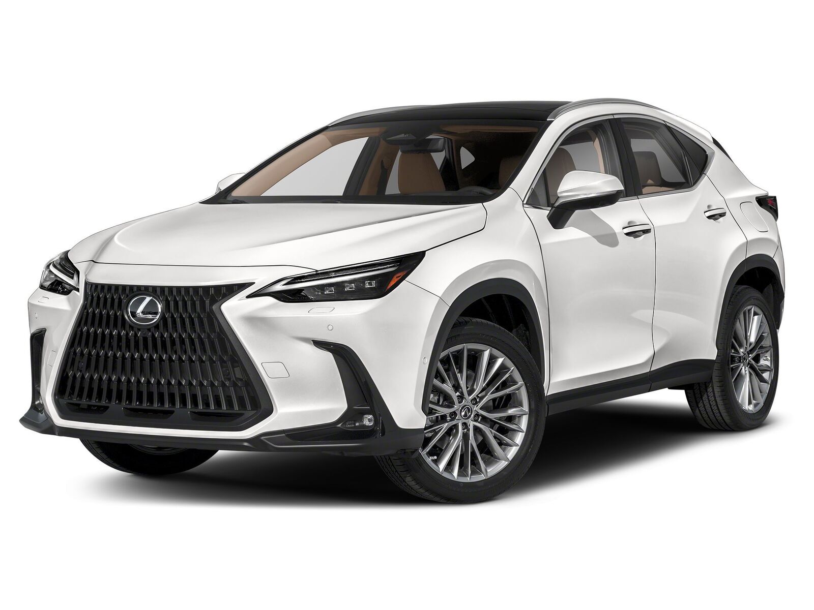 2024 Lexus NX