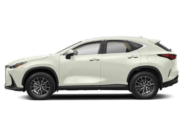 2024 Lexus NX