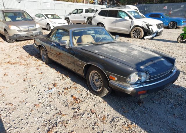 Jaguar XJS