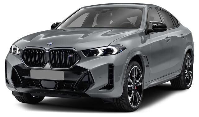 2024 BMW X6