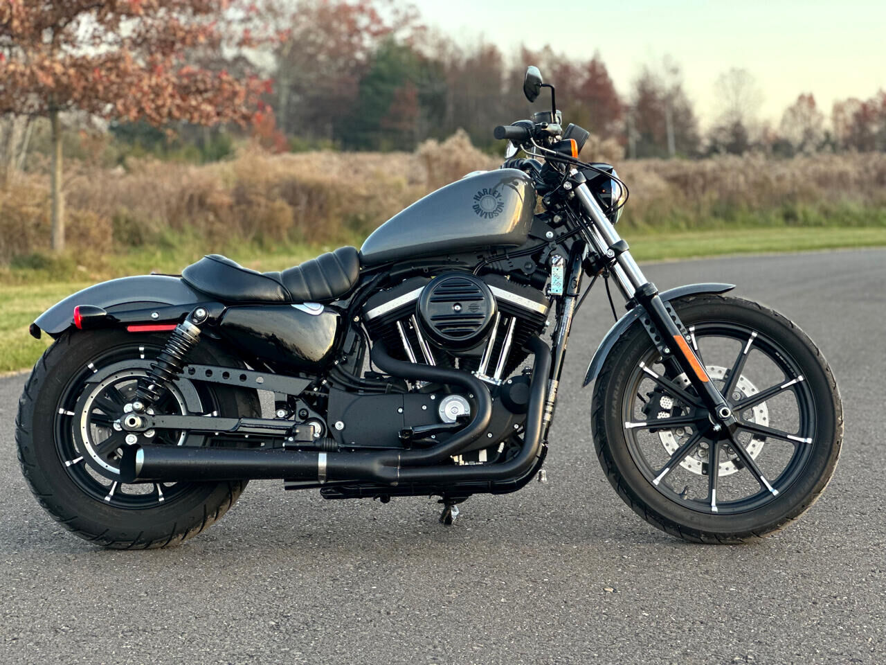 2022 HARLEY DAVIDSON Iron 883
