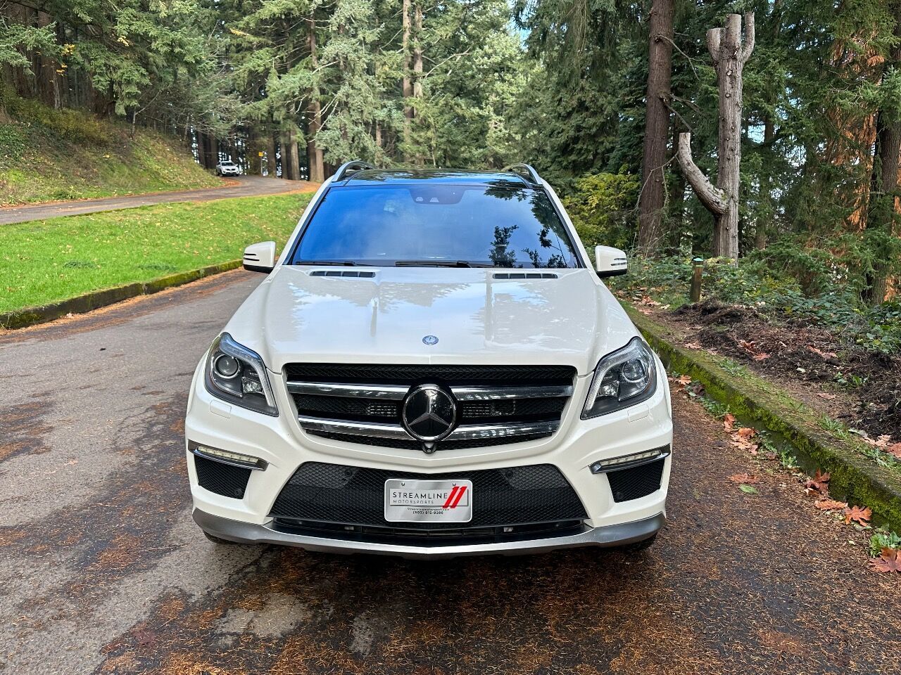 2014 Mercedes-Benz GL-Class