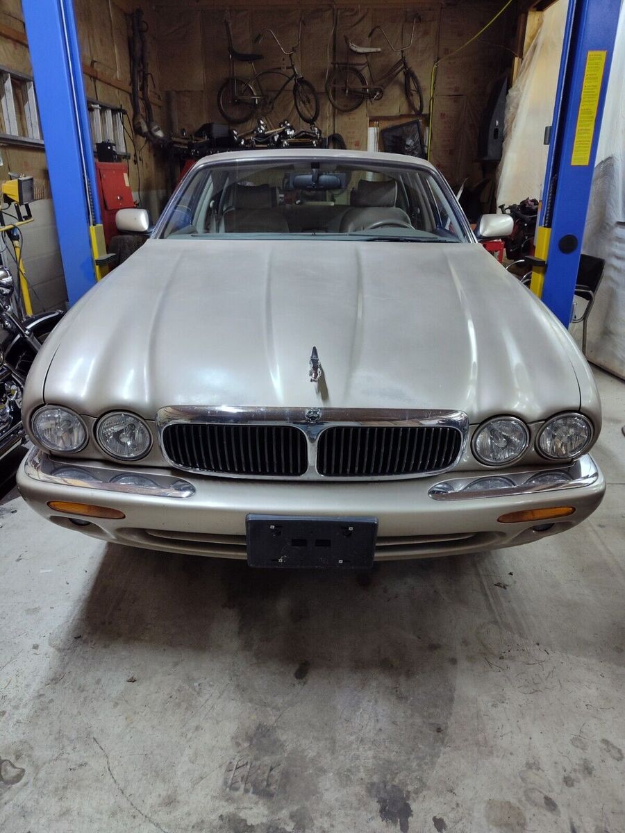 JAGUAR